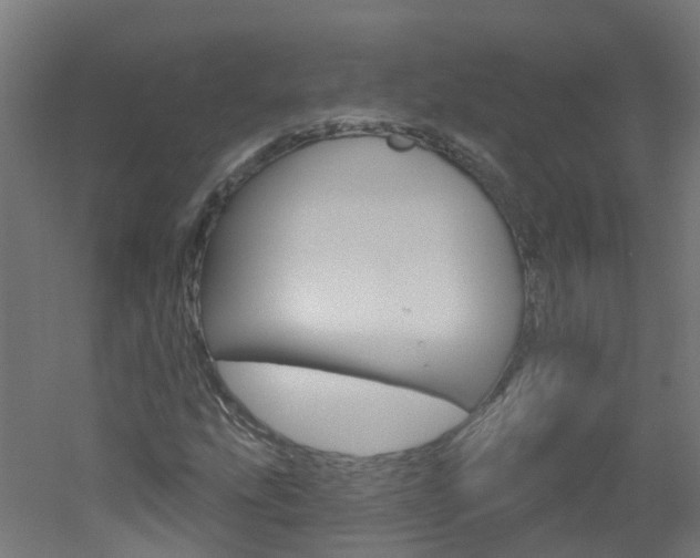 X0000051921207200506241120
