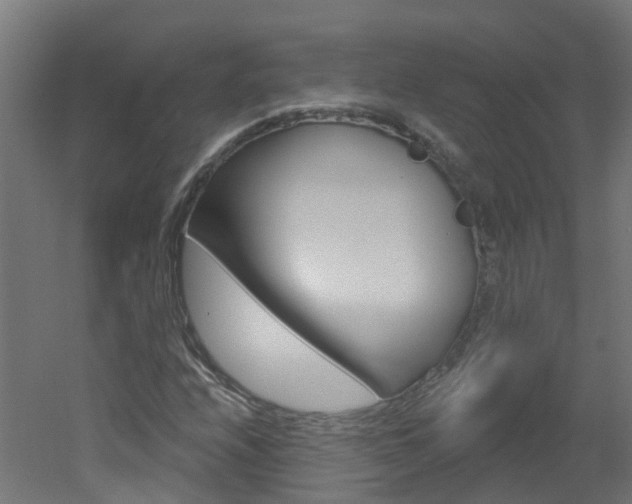 X0000051921208200506241120