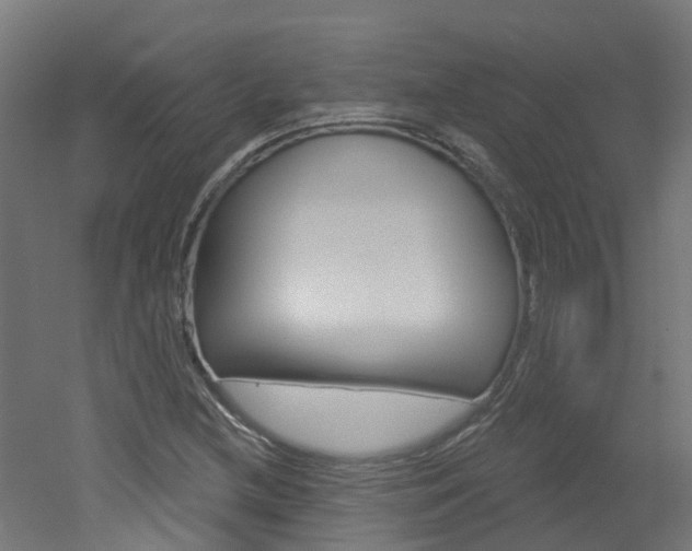 X0000051921212200506241120