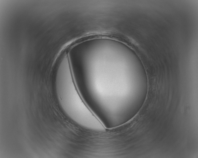 X0000051921214200506241120