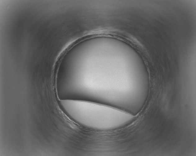 X0000051921216200506241120
