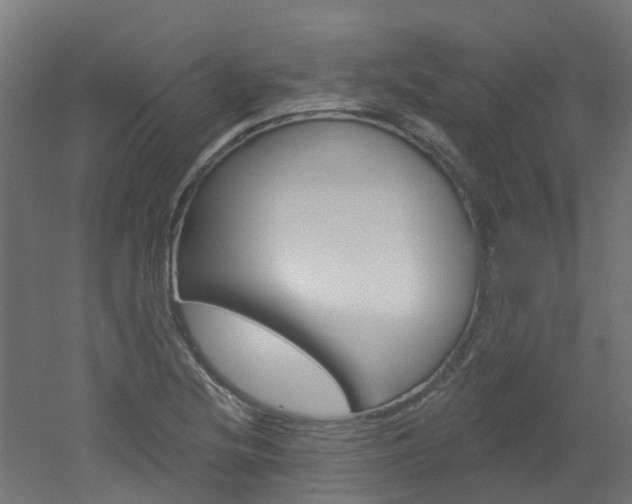 X0000051921220200506241120