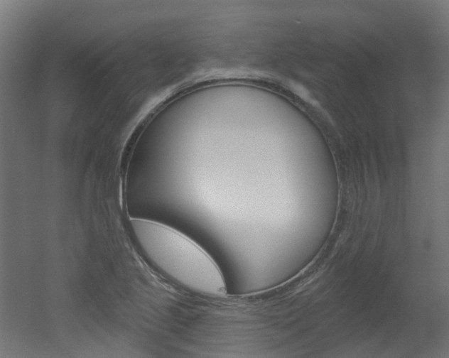 X0000051921221200506241120