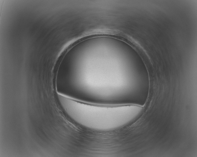 X0000051921222200506241120