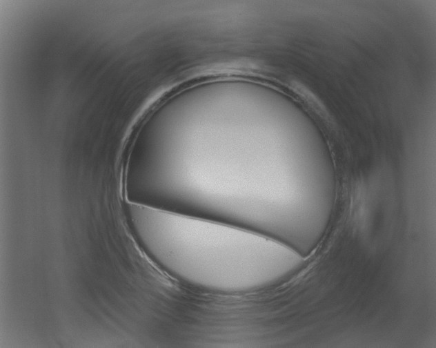 X0000051921224200506241120