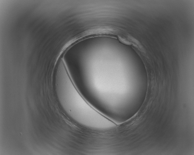 X0000051921226200506241121