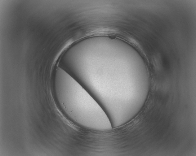X0000051921227200506241121