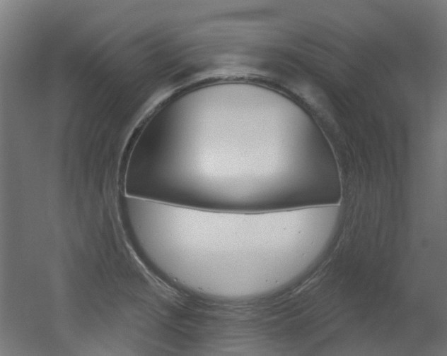X0000051921229200506241121