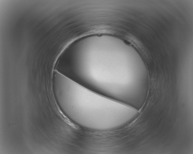 X0000051921236200506241121