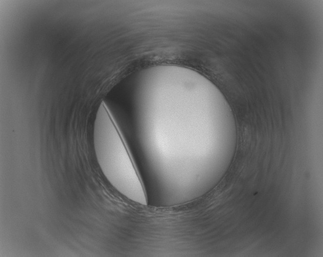 X0000051921250200506241120