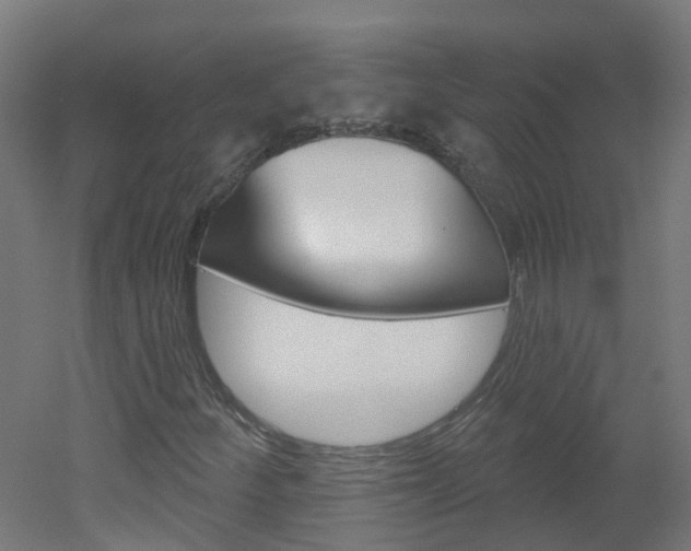 X0000051921252200506241120