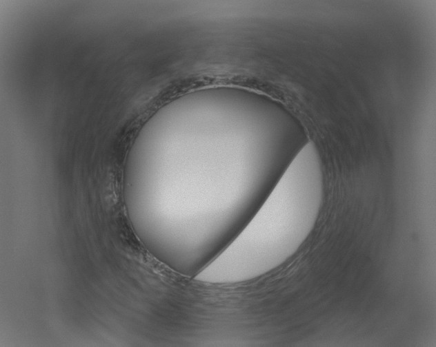 X0000051921253200506241120