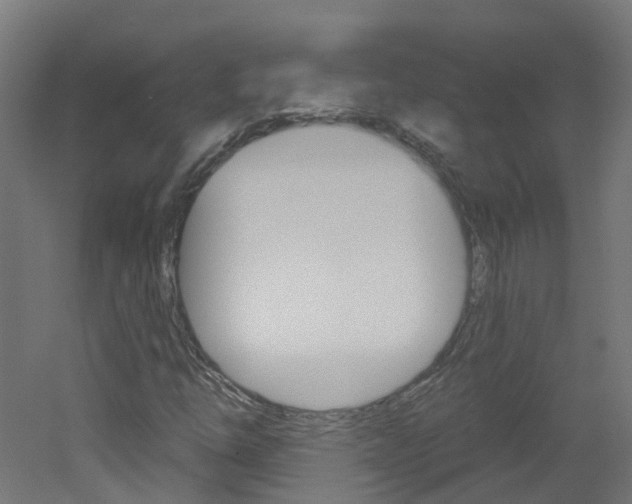 X0000051921254200506241120