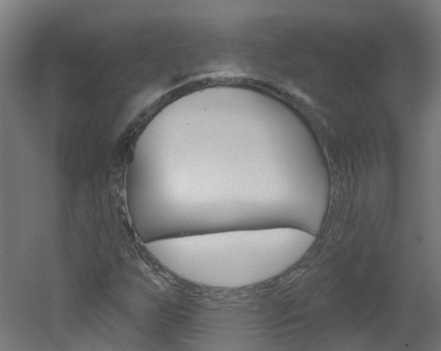 X0000051921255200506241120