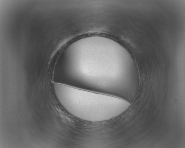 X0000051921256200506241120