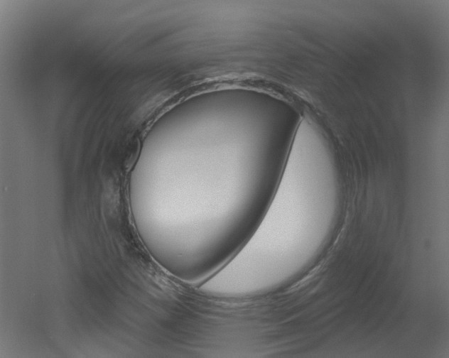 X0000051921257200506241120
