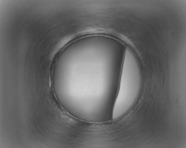 X0000051921269200506241120