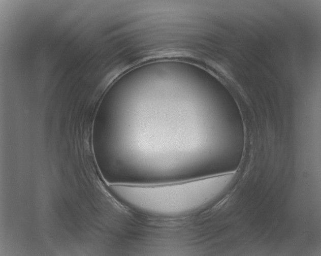 X0000051921273200506241120