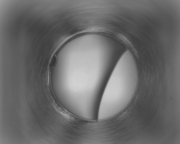 X0000051921276200506241120