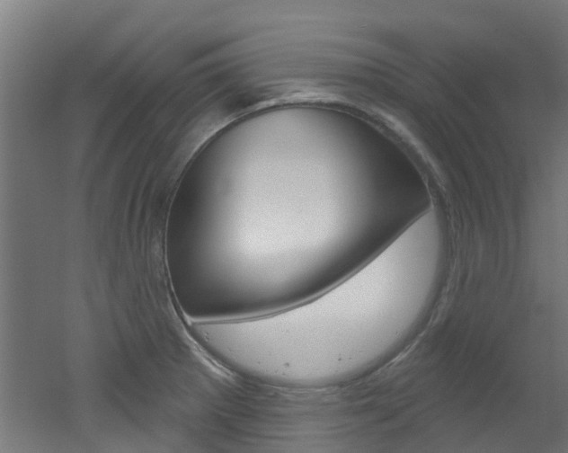 X0000051921281200506241120
