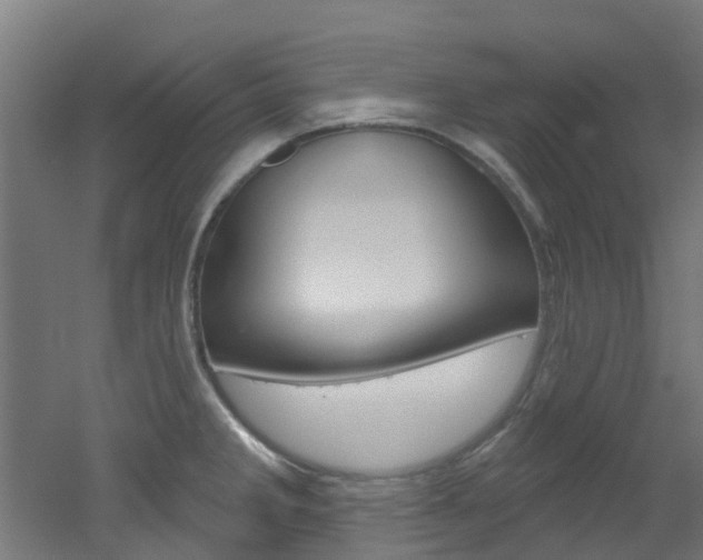 X0000051921285200506241119