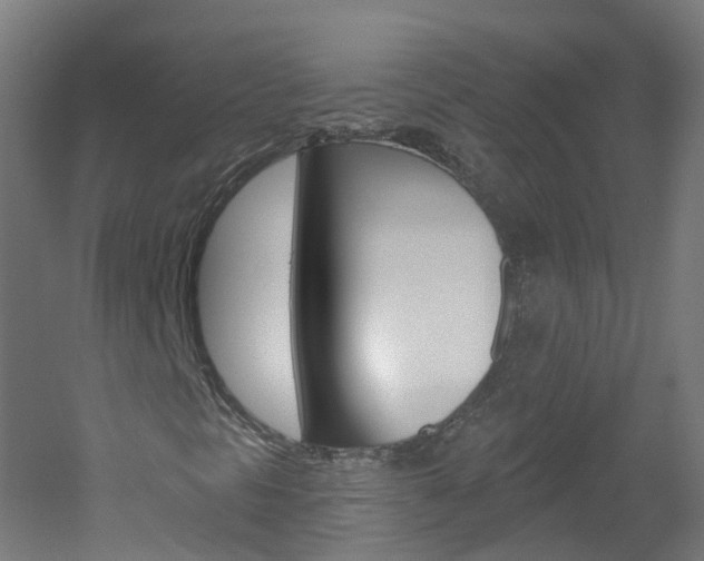 X0000051921297200506241118