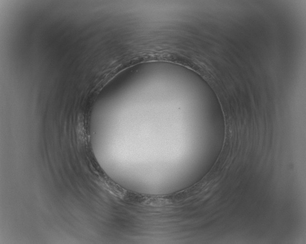 X0000051921298200506241118