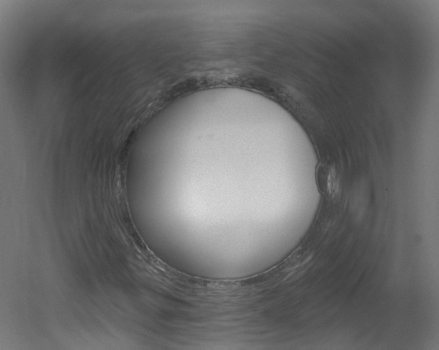 X0000051921299200506241118
