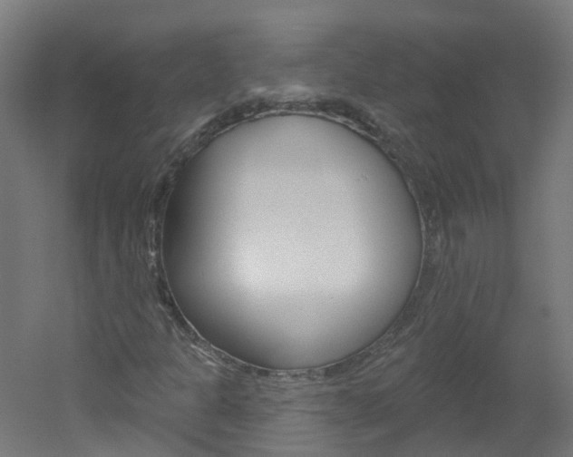 X0000051921301200506241119