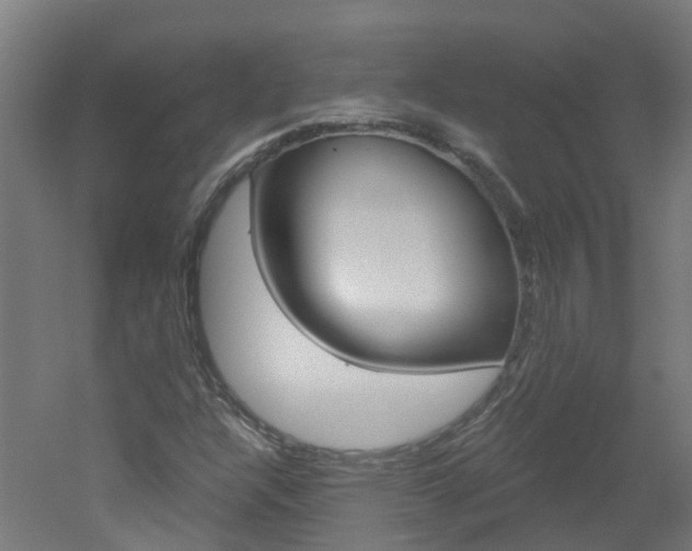 X0000051921304200506241119