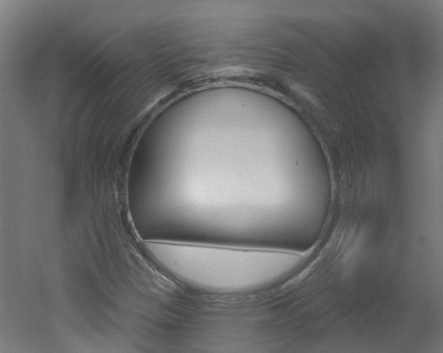 X0000051921305200506241119