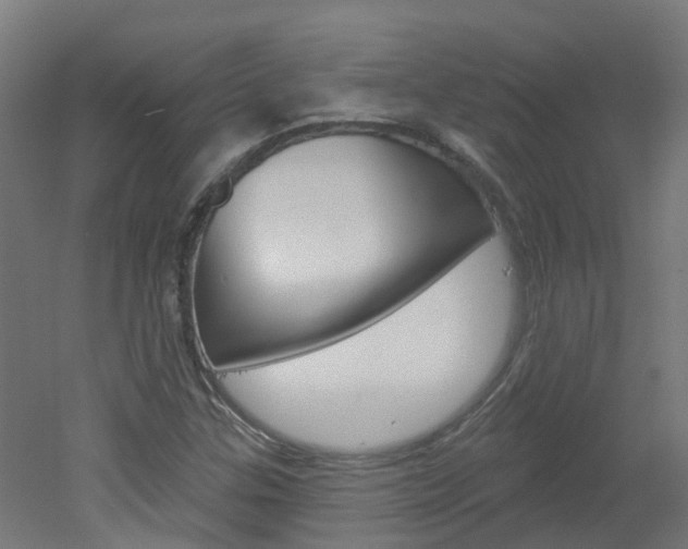 X0000051921307200506241119