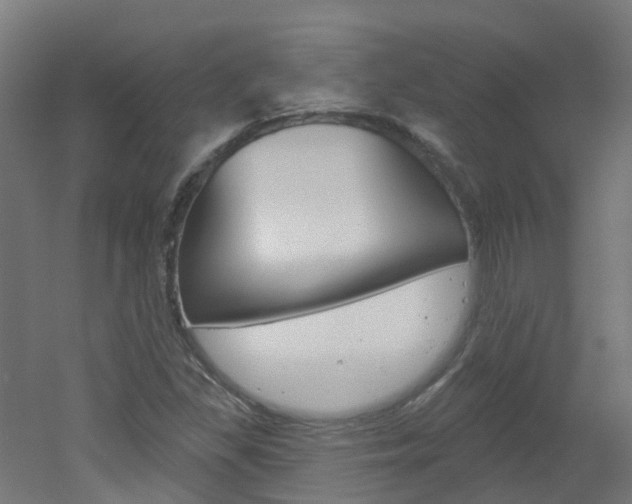 X0000051921309200506241119
