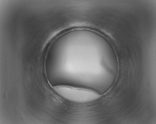X0000051921311200506241119