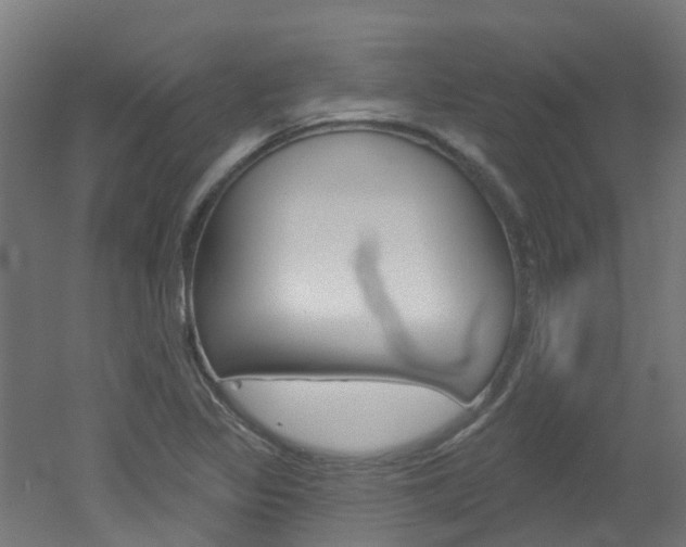 X0000051921317200506241119