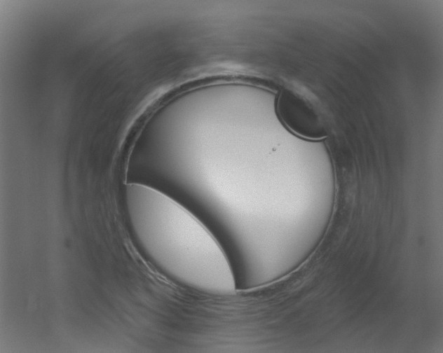 X0000051921318200506241119