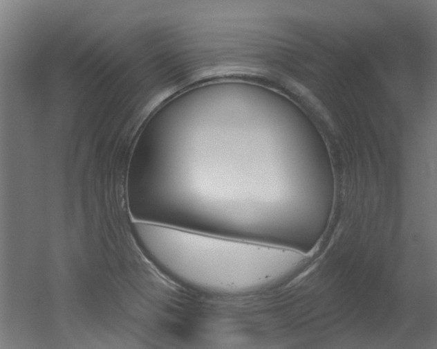 X0000051921321200506241119
