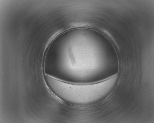 X0000051921330200506241119