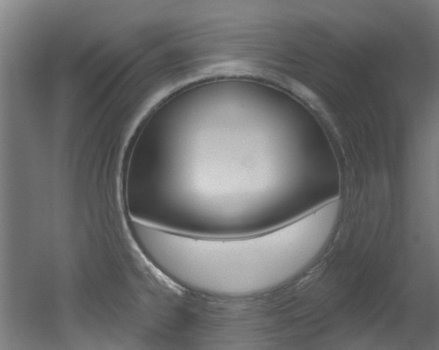 X0000051921334200506241119
