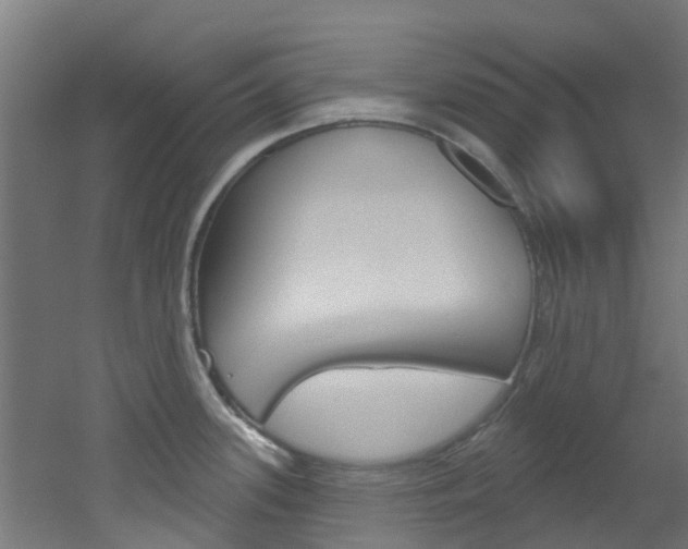 X0000051921339200506241119