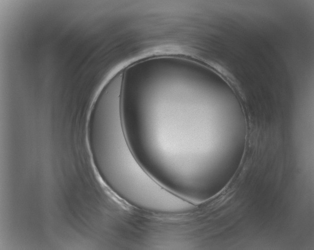 X0000051921342200506241119