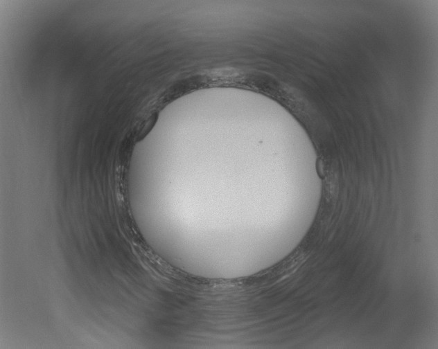X0000051921346200506241118