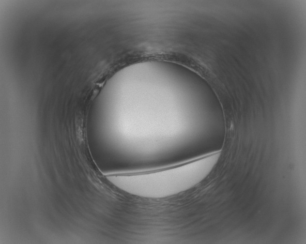 X0000051921348200506241118