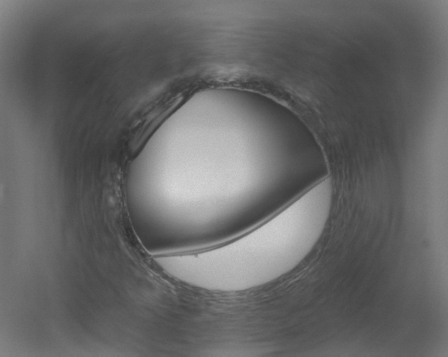 X0000051921349200506241118
