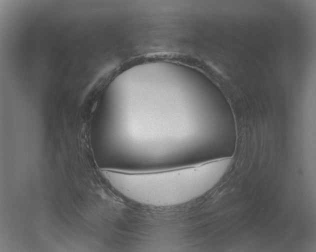 X0000051921351200506241118