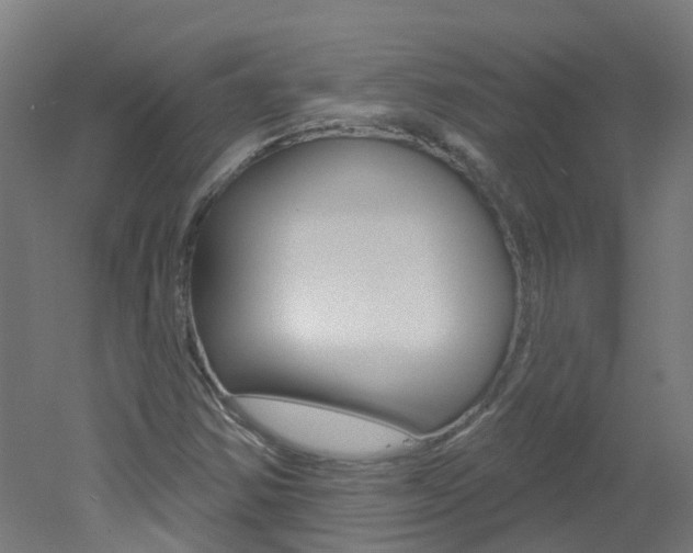 X0000051921354200506241118