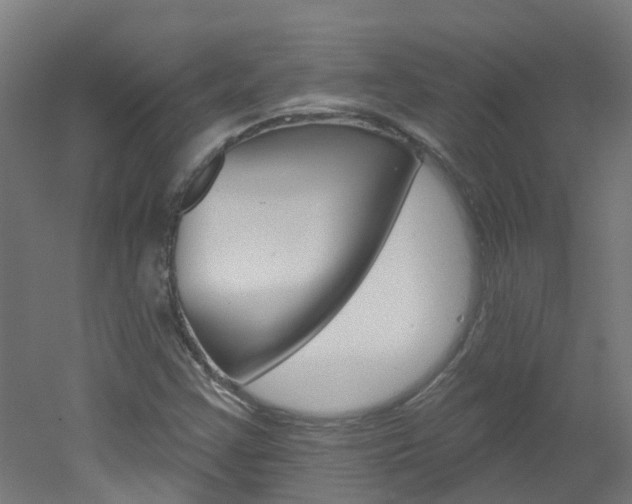 X0000051921355200506241118