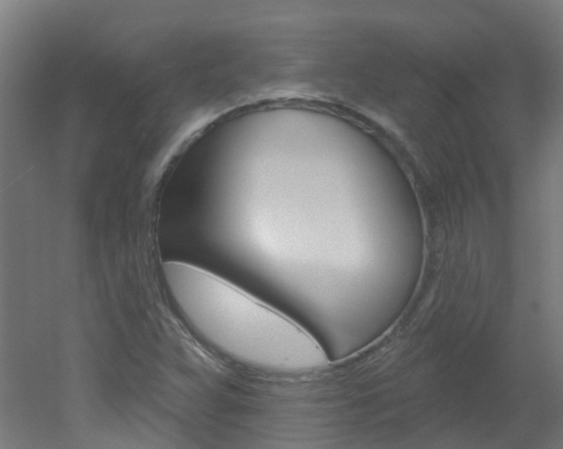 X0000051921359200506241118