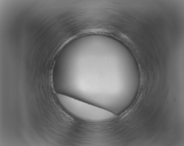 X0000051921361200506241118