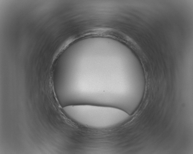 X0000051921362200506241118